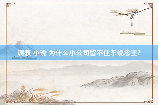 调教 小说 为什么小公司留不住东说念主?
