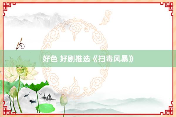 好色 好剧推选《扫毒风暴》