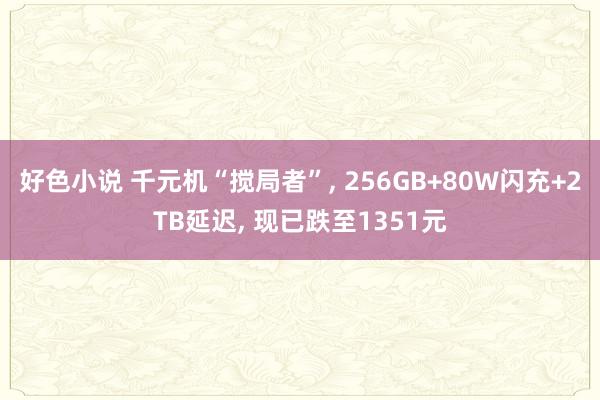 好色小说 千元机“搅局者”， 256GB+80W闪充+2TB延迟， 现已跌至1351元