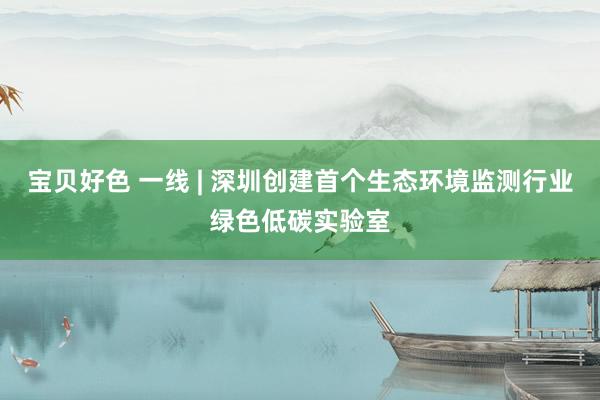 宝贝好色 一线 | 深圳创建首个生态环境监测行业绿色低碳实验室