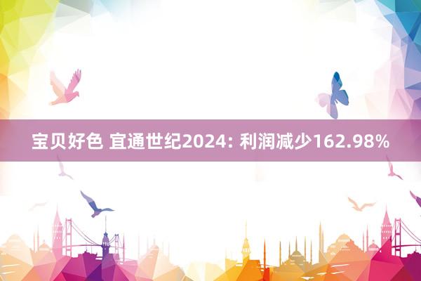 宝贝好色 宜通世纪2024: 利润减少162.98%
